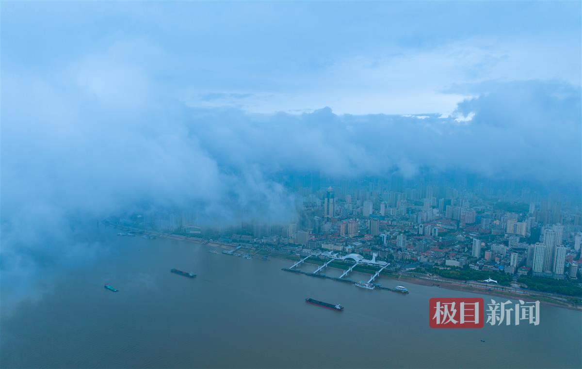 网赌跳槽网址